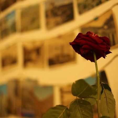 Moosica Hostel Tbilisi Esterno foto